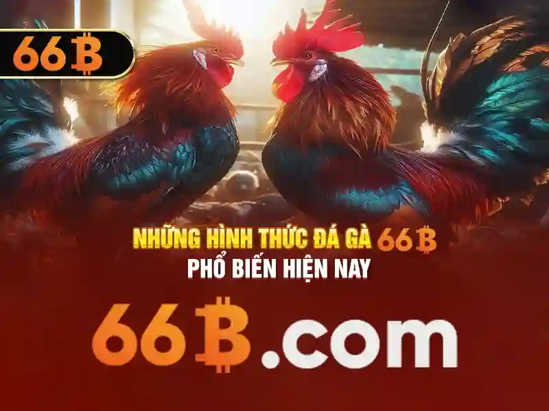 Chương trình nhận thưởng 66B