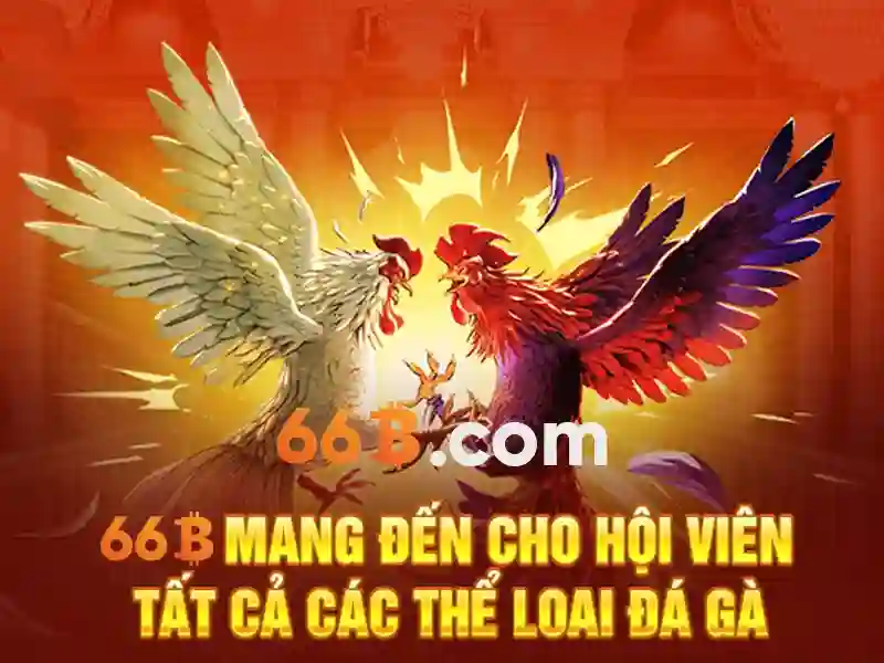 Nền tảng SLOT 66B 2026