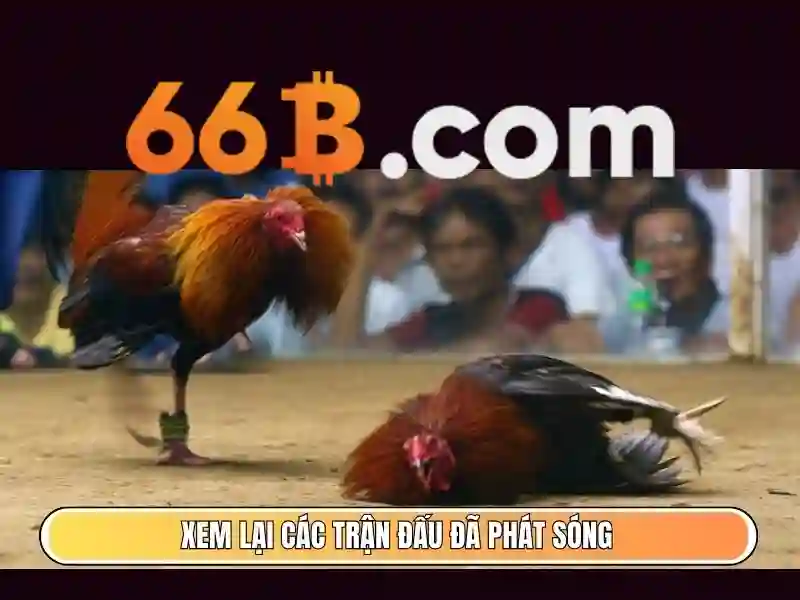 Khuyến mãi 66b hoàn tiền