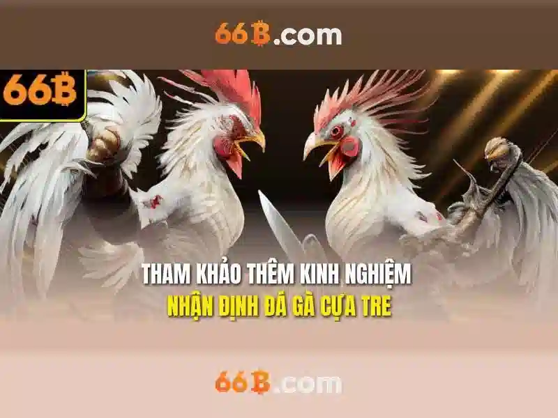 Giới Thiệu 66B