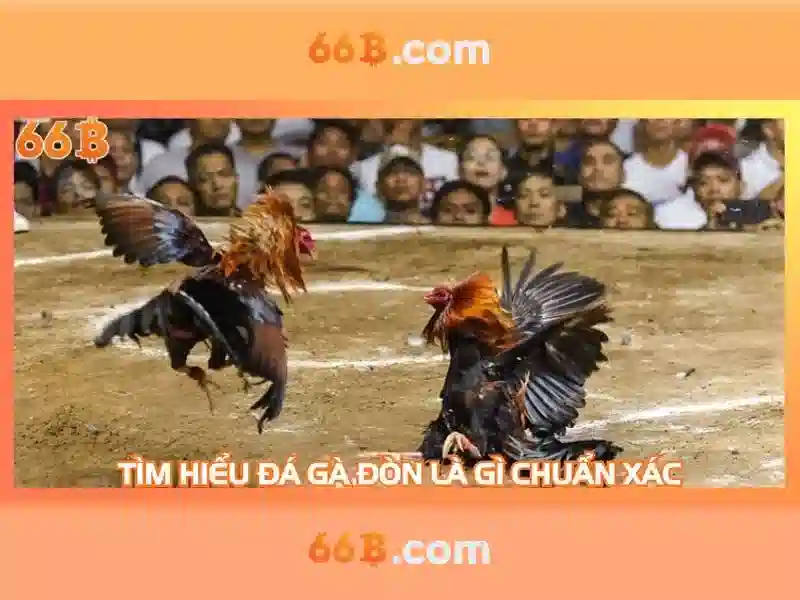 Kinh nghiệm chơi game 66B
