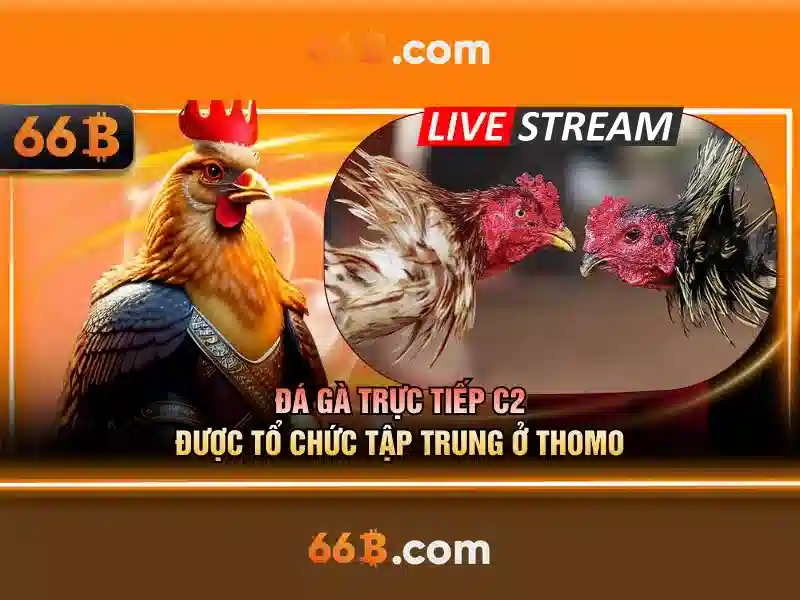 Quy Trinh Dang Xuat 66B