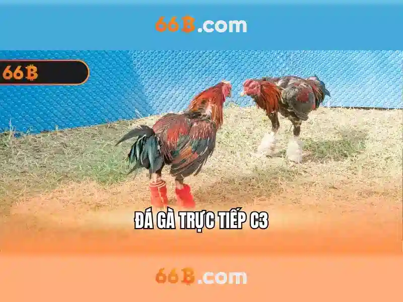 Quên Mật Khẩu 66B – Giải Pháp Từ Chuyên Gia Slot
