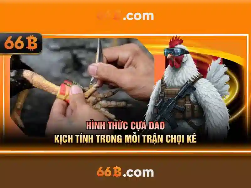 Hướng dẫn tham gia 66B