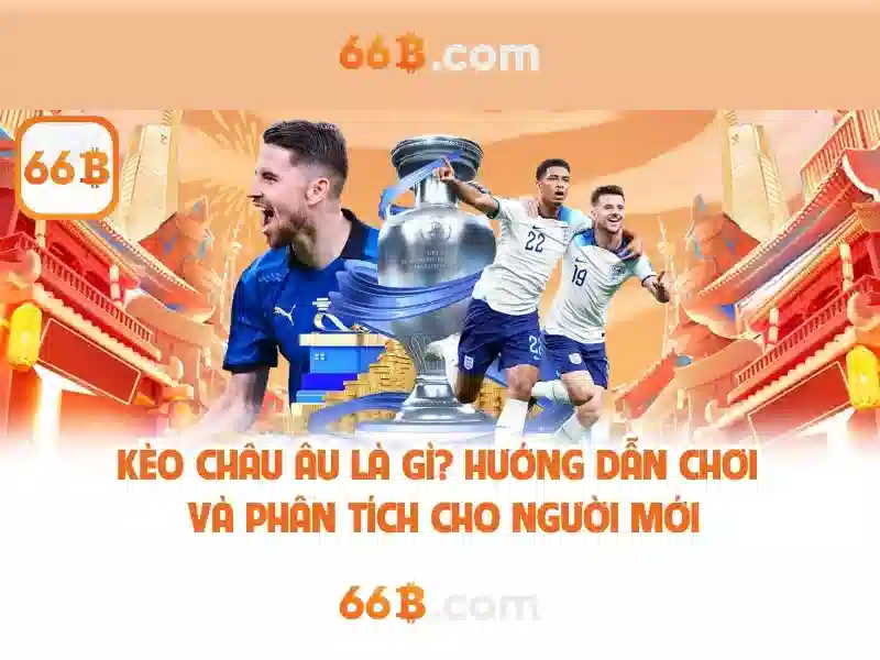 ưu điểm 66b