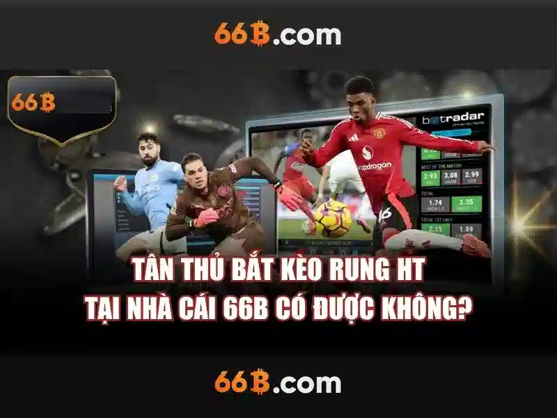 Hướng Dẫn Đăng Ký 66B
