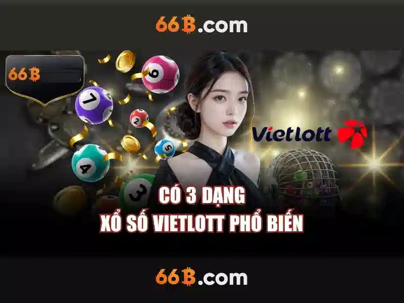 Liên Hệ Dịch Vụ Trực Tuyến 66B – Hỗ Trợ 24/7
