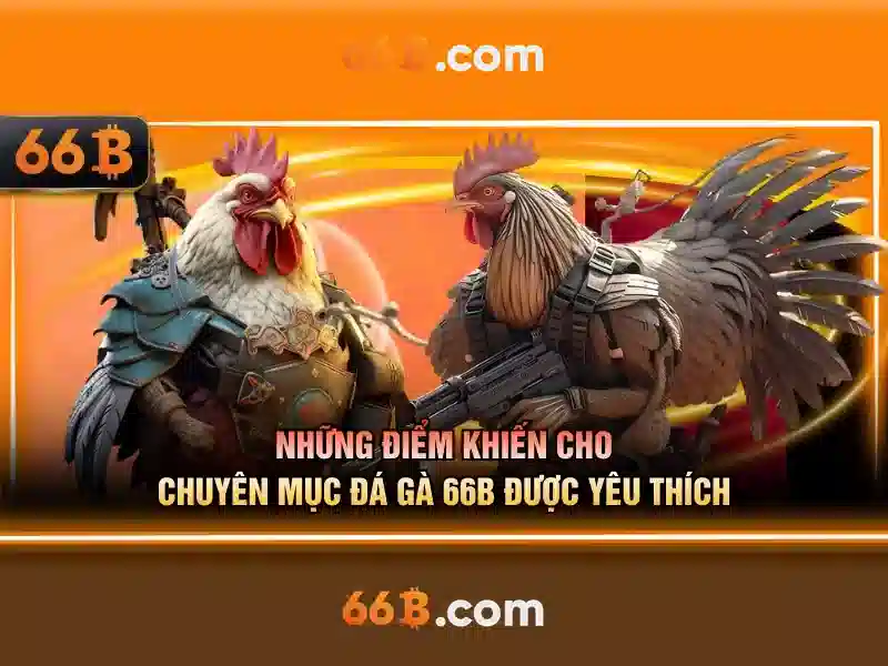 Giới Thiệu Về 66B