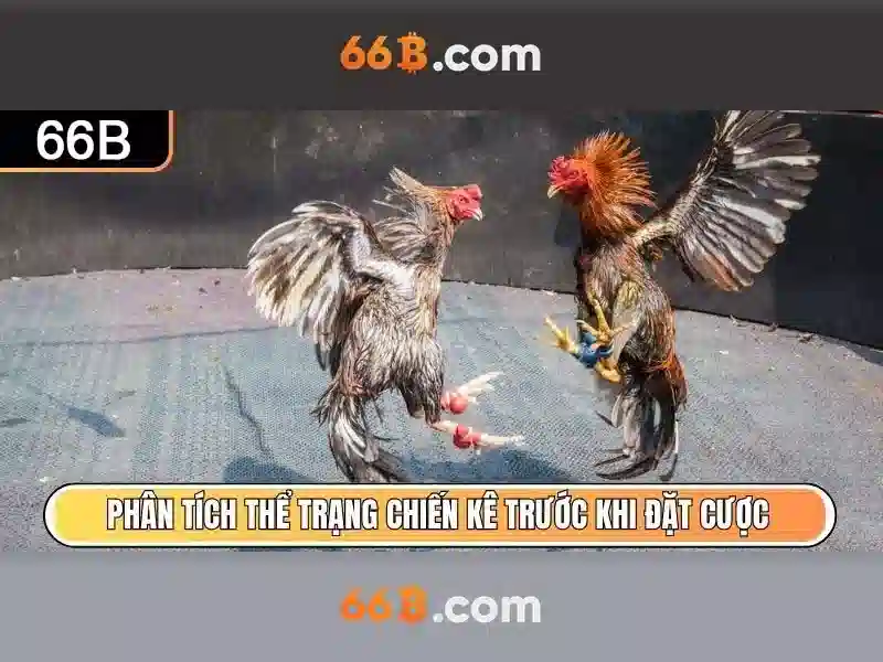 66b phiên bản mới – Tận Dụng Vòng Quay Miễn Phí