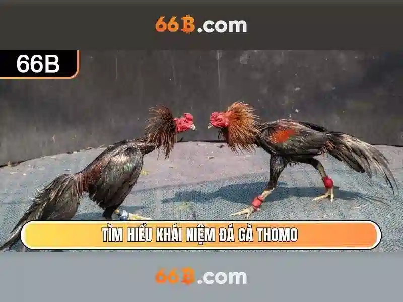 Trải nghiệm slot trực tuyến