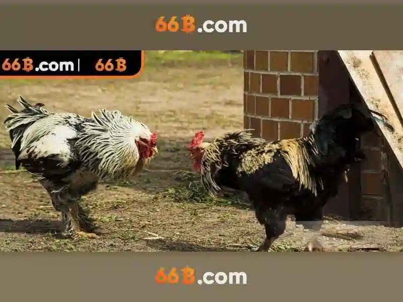 Cờ Tướng 63B – Quản Lý Tài Chính