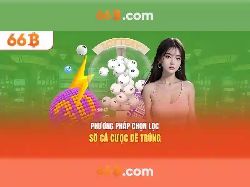 Trang chủ 66B