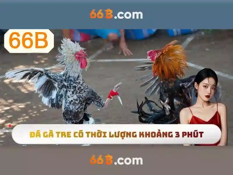 66B – Trải Nghiệm SLOT Đỉnh Cao Với Tính Năng Đa Dạng