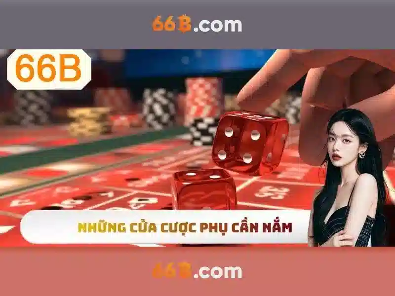 Lưu Ý Cập Nhật 66B