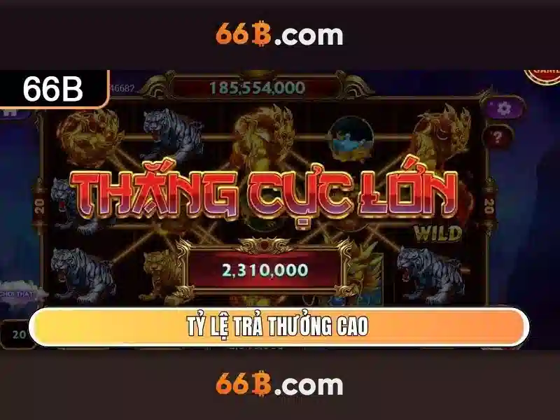 Hành trình 16 năm của 66b