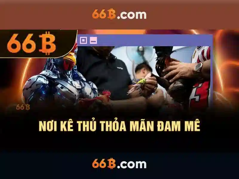 Lý Do Chọn Xóc Đĩa 66B
