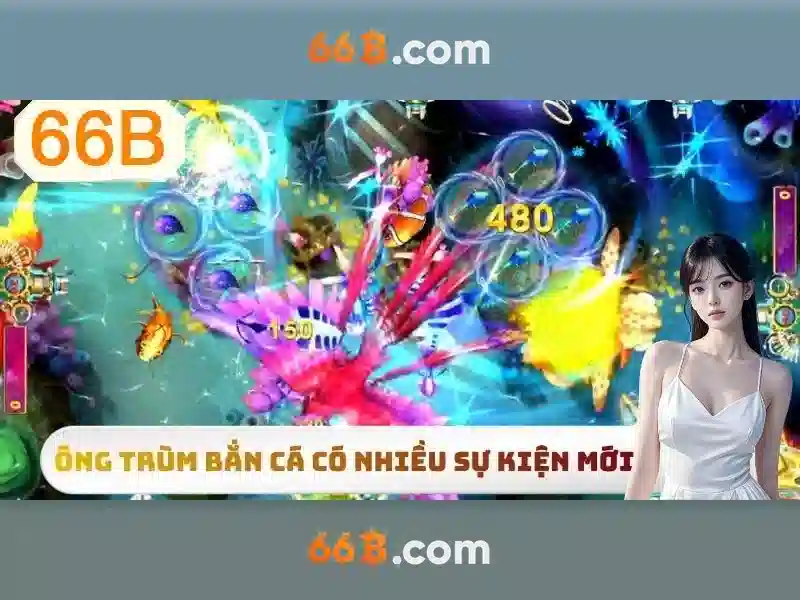 Tài Khoản 66B