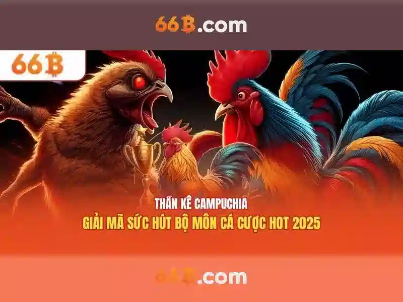 66B – Link Tải 66B APK, Trang Chủ 66B Chính Thức Không Bị Chặn 2026