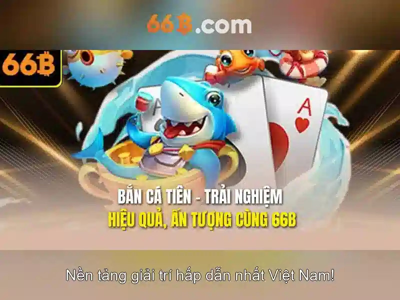 Hướng Dẫn Đăng Ký 66B