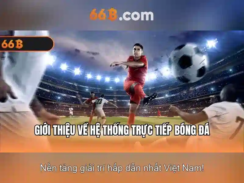 nhận thưởng 66b