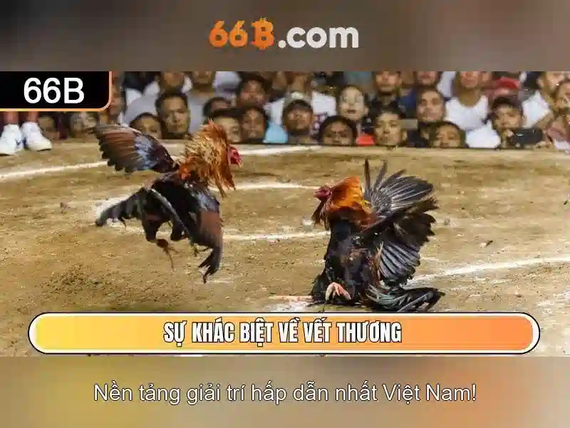 Ưu Đãi Nhận Thưởng 66B