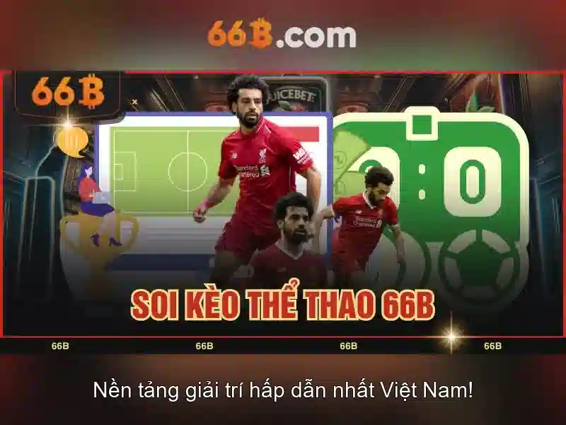 Tại Sao Nên Chọn 66B Mới