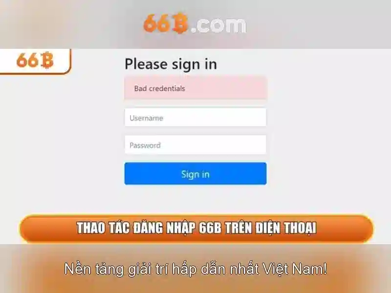 hỗ trợ 66B