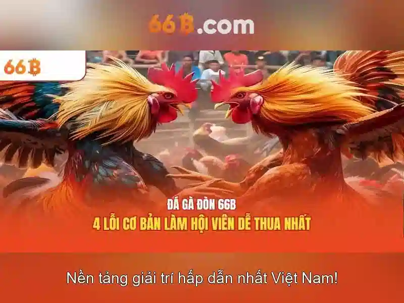 Lưu Ý Khi Rút Tiền 66B