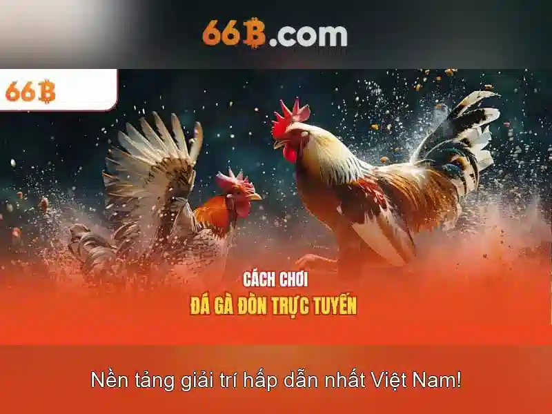 Quy Trình Đăng Ký 66B
