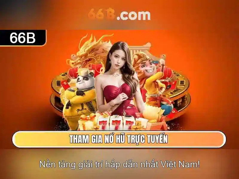 Tại Sao Chọn 66B