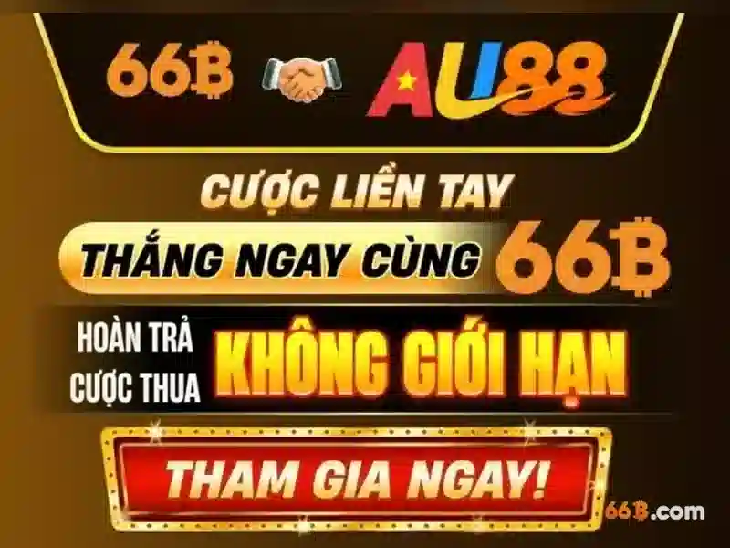 Giới Thiệu Về 66B