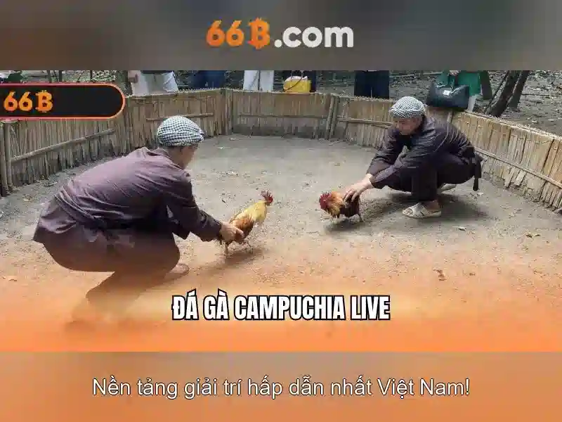 Ưu Điểm Nổi Bật
