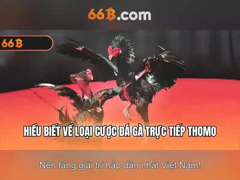 Quy Trình Nạp Tiền 66B