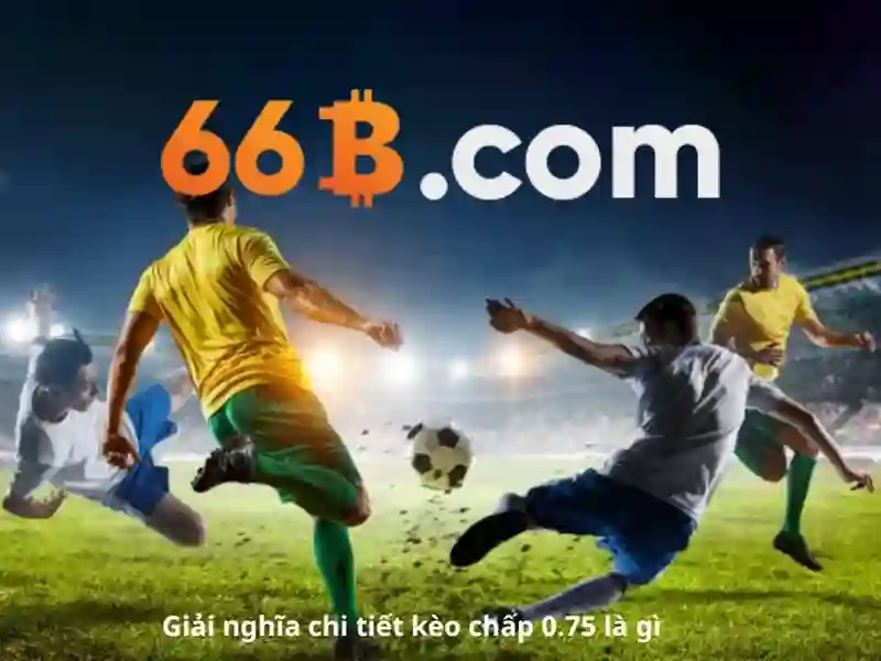 Hỗ trợ khách hàng 24/7