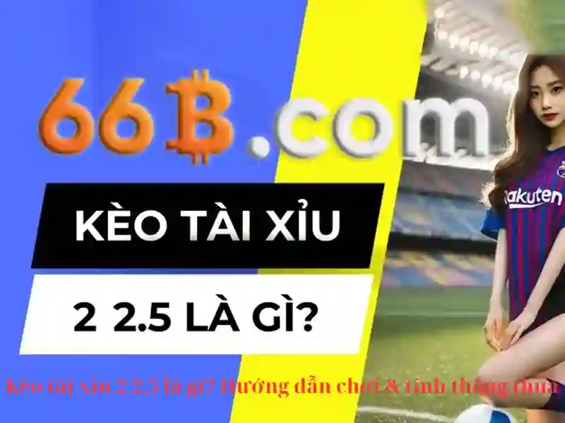 Quy Trình Đăng Ký 66B