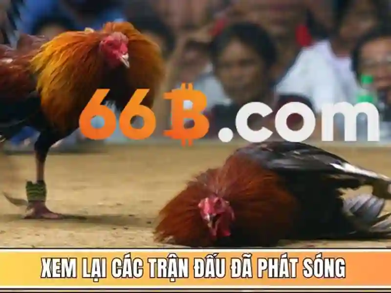 Bước 3: Nhập Thông Tin Đăng Nhập Và Hoàn Tác