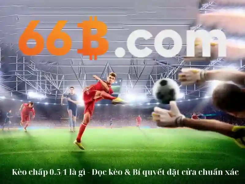 Giới Thiệu Về Code 66B